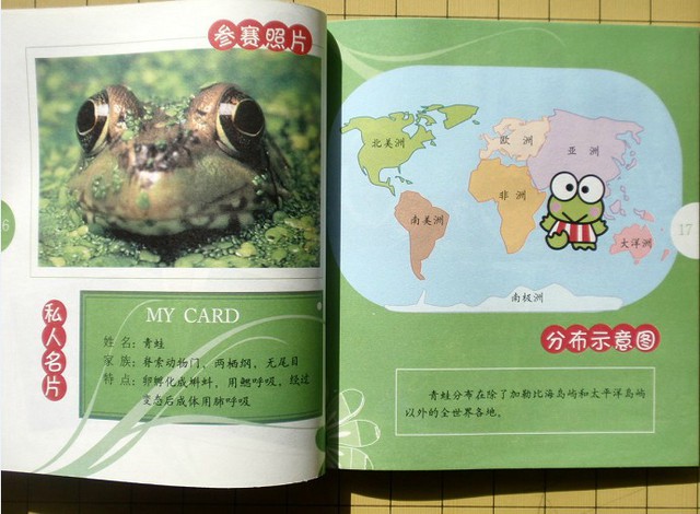 journal_insert_pic_75965261
