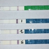 A 508.JPG