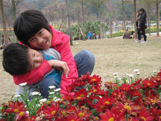 journal_insert_pic_75991120