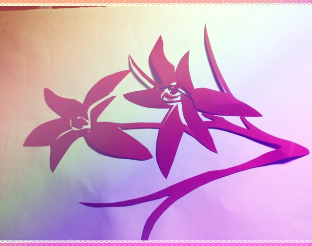 journal_insert_pic_75998510