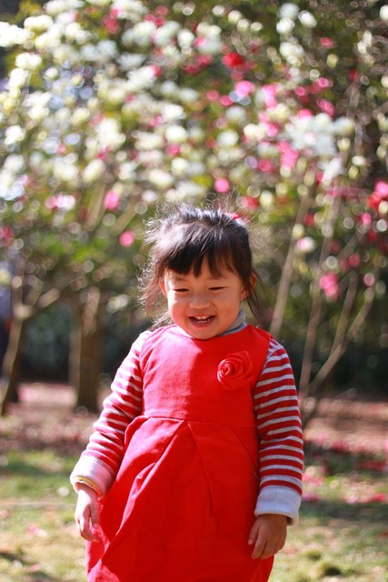 journal_insert_pic_76103580