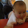 过木桥