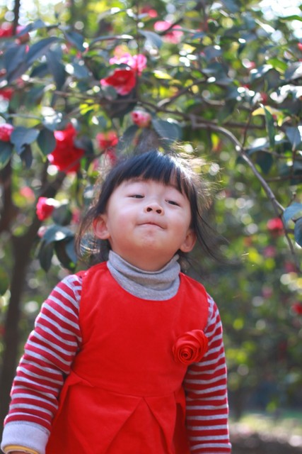 journal_insert_pic_76103352