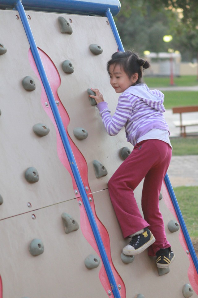 journal_insert_pic_76526467