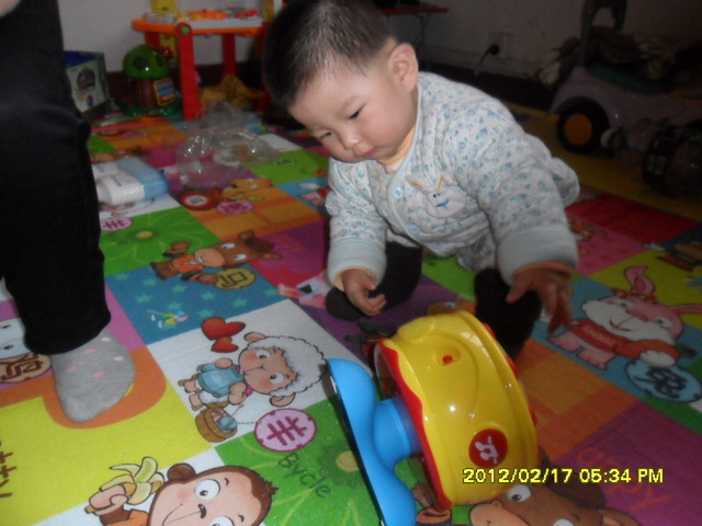 journal_insert_pic_76762598