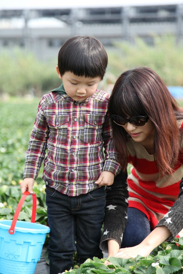 journal_insert_pic_76827393