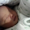 IMG1378A.jpg