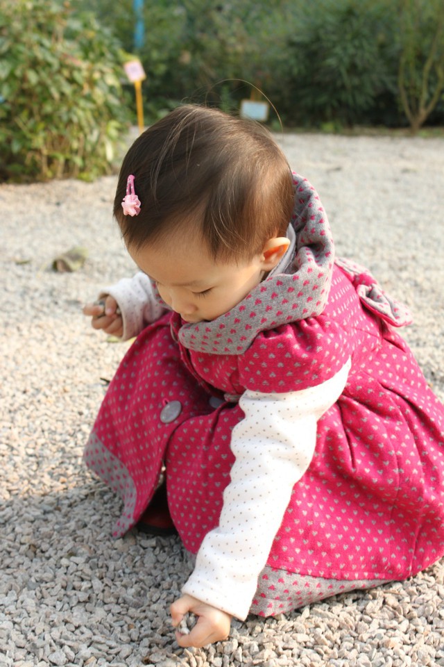 journal_insert_pic_76812664