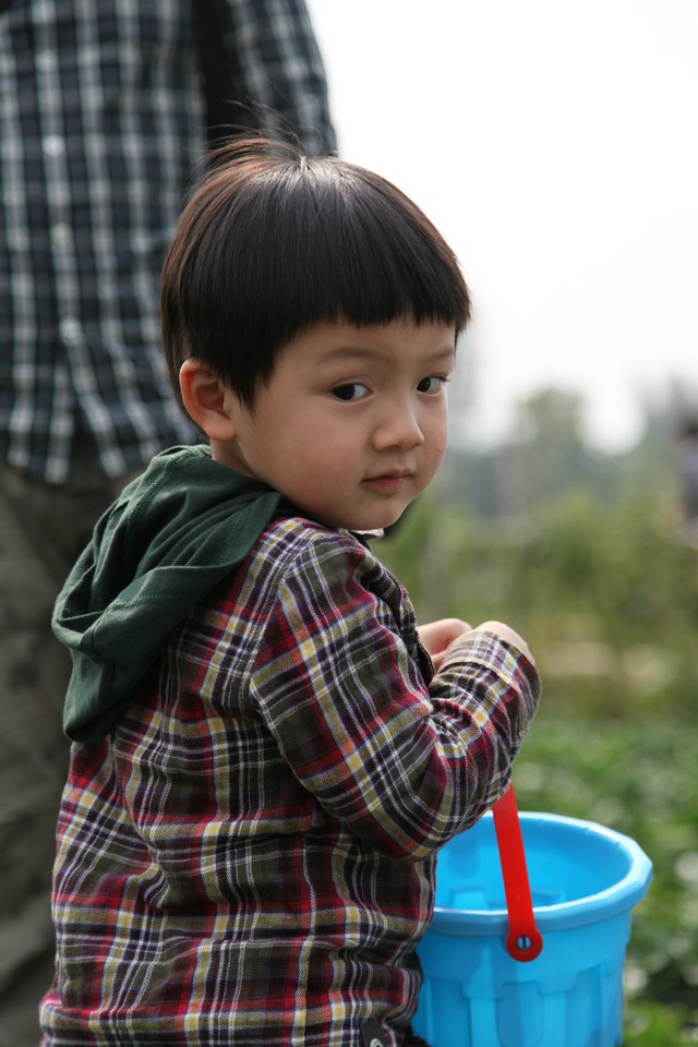 journal_insert_pic_76827284
