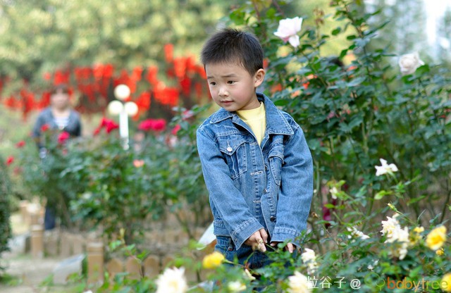 journal_insert_pic_76826340