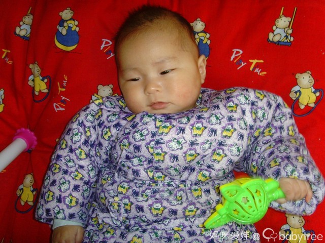 journal_insert_pic_76785616