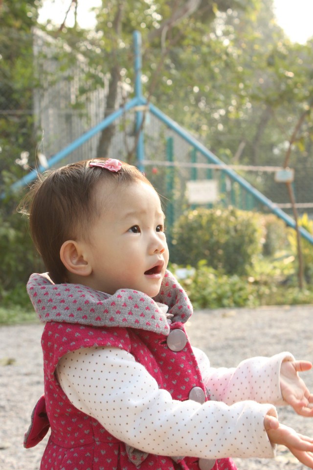 journal_insert_pic_76812858