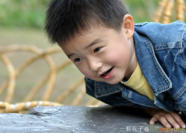 journal_insert_pic_76826144