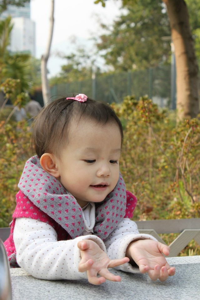 journal_insert_pic_76811368