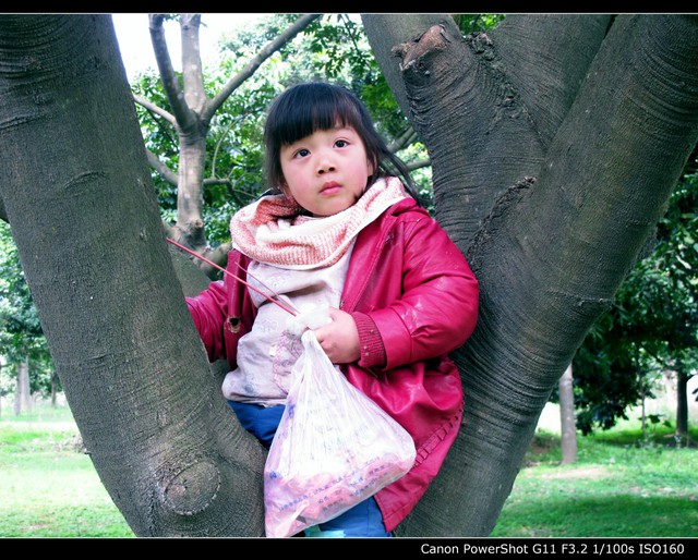 journal_insert_pic_76848294