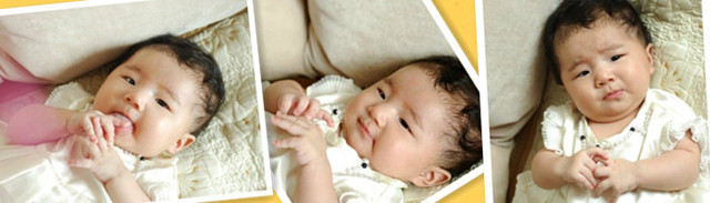 journal_insert_pic_77280194