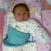 20120227_002-001.jpg