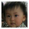 everlily