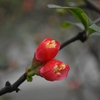 DSC_5477.JPG