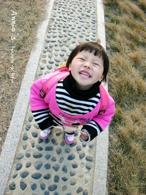 journal_insert_pic_78177924