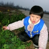 conew_gedc3925.jpg