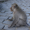 P1000803.JPG