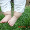 CIMG0231.JPG
