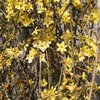 DSC01492.JPG