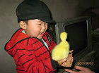 journal_insert_pic_80554338