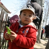 3y5m20120331采摘 (126).JPG