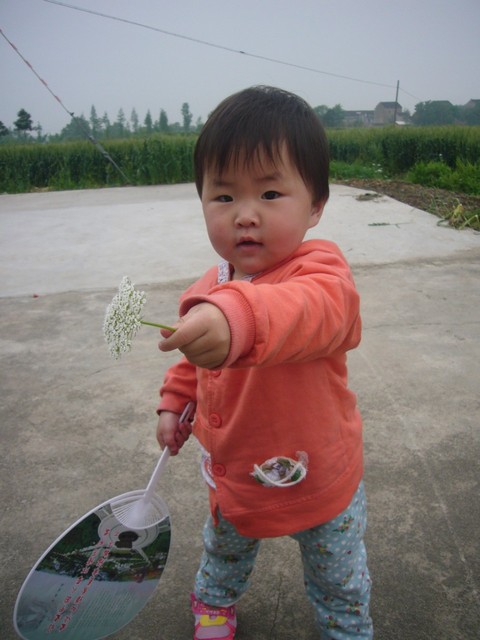 journal_insert_pic_81210034