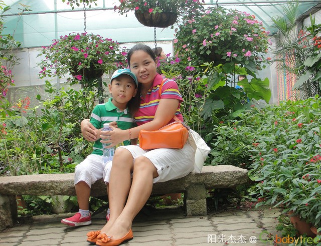 journal_insert_pic_81235138