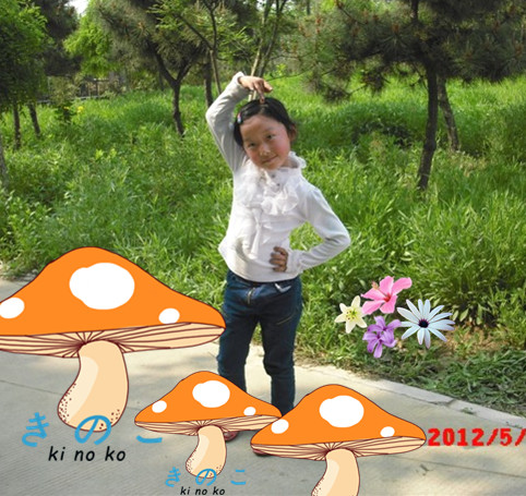 journal_insert_pic_81321559