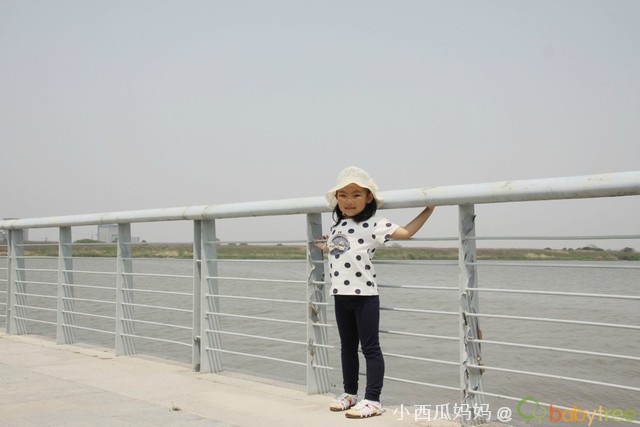 journal_insert_pic_81700335
