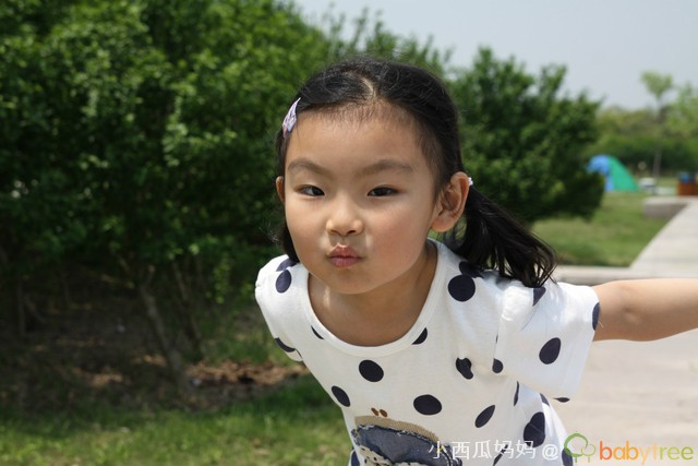 journal_insert_pic_81700299