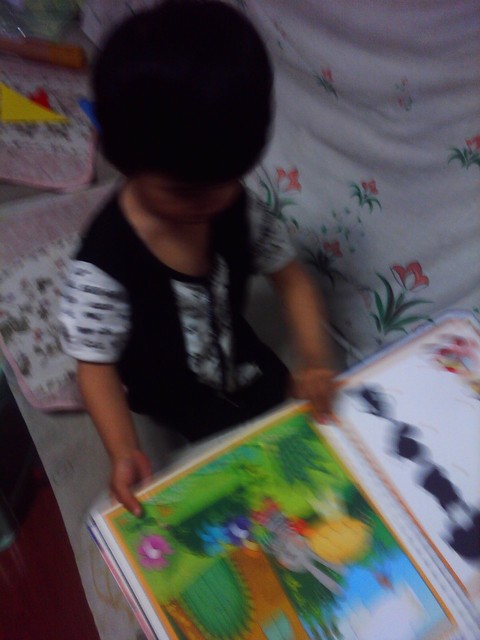 journal_insert_pic_82150200
