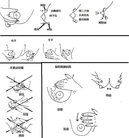 涨奶怎么挤都不通