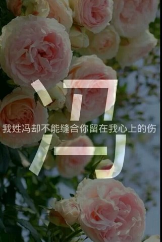 一个姓氏一句情话,看看你的情话是什么?