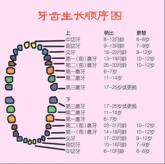 【分享帖】萌牙篇----关于宝宝牙齿小记