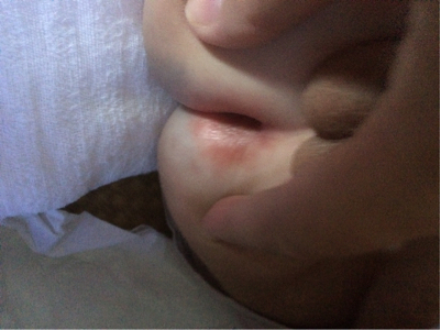 journal_insert_pic_266606132