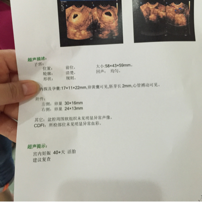 journal_insert_pic_285202525