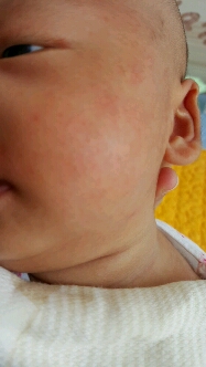 journal_insert_pic_296897075