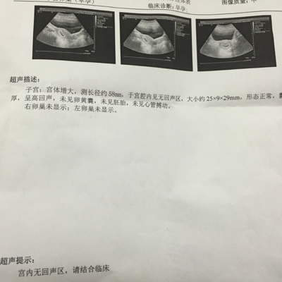 journal_insert_pic_340561460