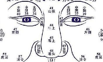 【面相篇】鼻子是你一生的荣辱