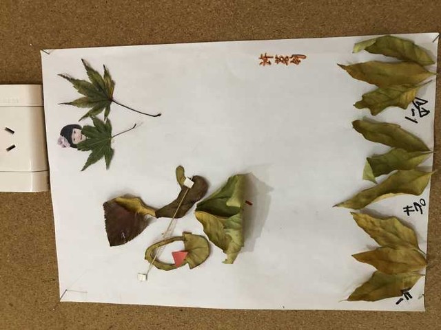 树叶拼贴画 树叶拼贴画