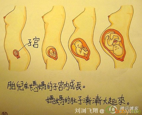 我从哪里来