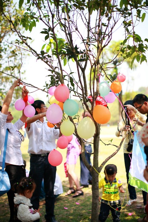 【活动汇报】宝树迎大运:从这里开始~深圳欢迎您!