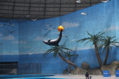 泉城极地海洋世界抢鲜游