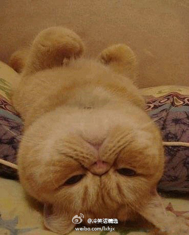 次奥,越想越尼玛生气