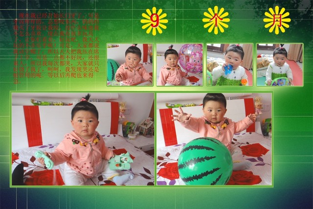 journal_insert_pic_110799015